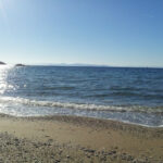 9176A0EB-B6EB-4A35-BC7F-AAF73BE6BB38