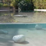 94B55E86-F6A2-4782-BDD2-11CCEA29F1AD