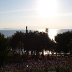 kav roof-20160329_183942